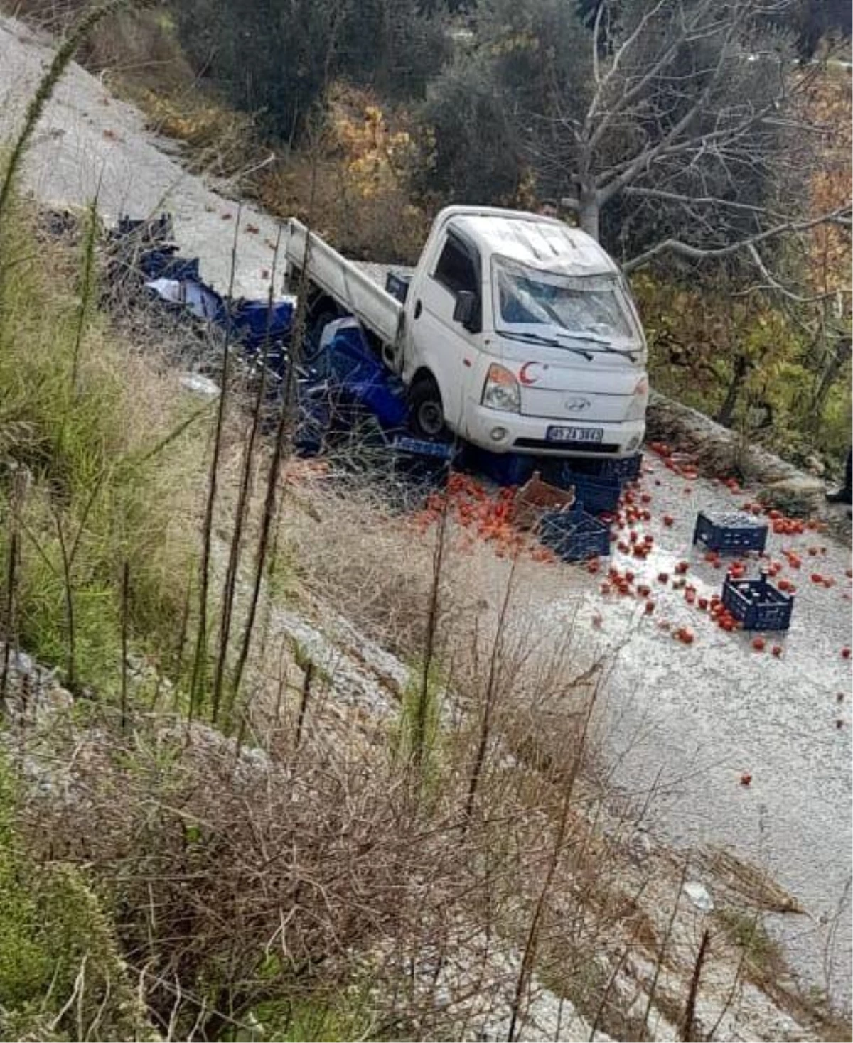 Alaşehir\'de meyve yüklü kamyonet şarampole devrildi