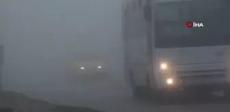 Bandırma sis altında