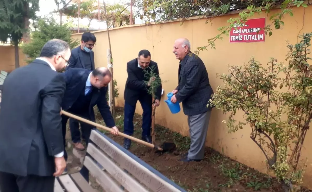 Engelliler adına cami bahçelerinde fidan dikildi