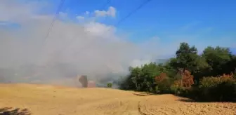 Osmaniye'de orman yangını (1)