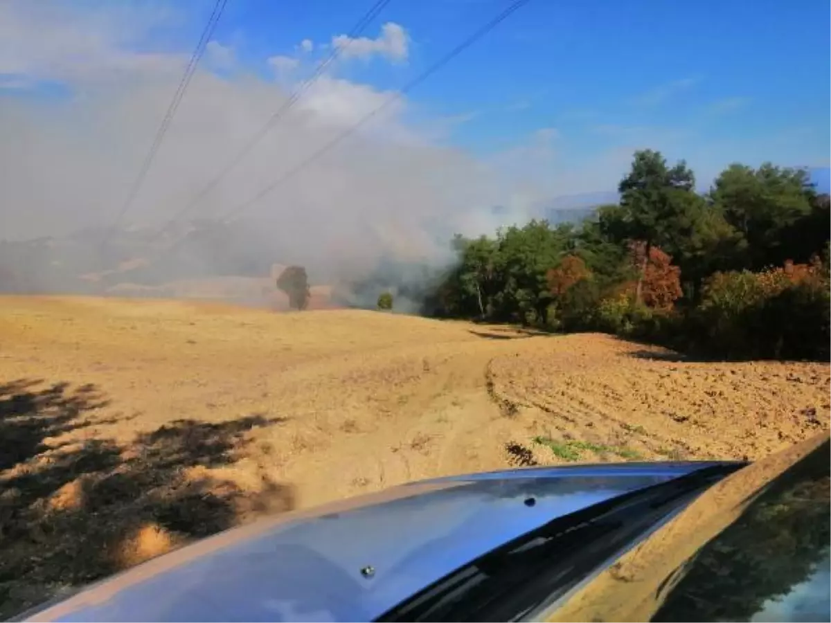 Osmaniye'de orman yangını (1)