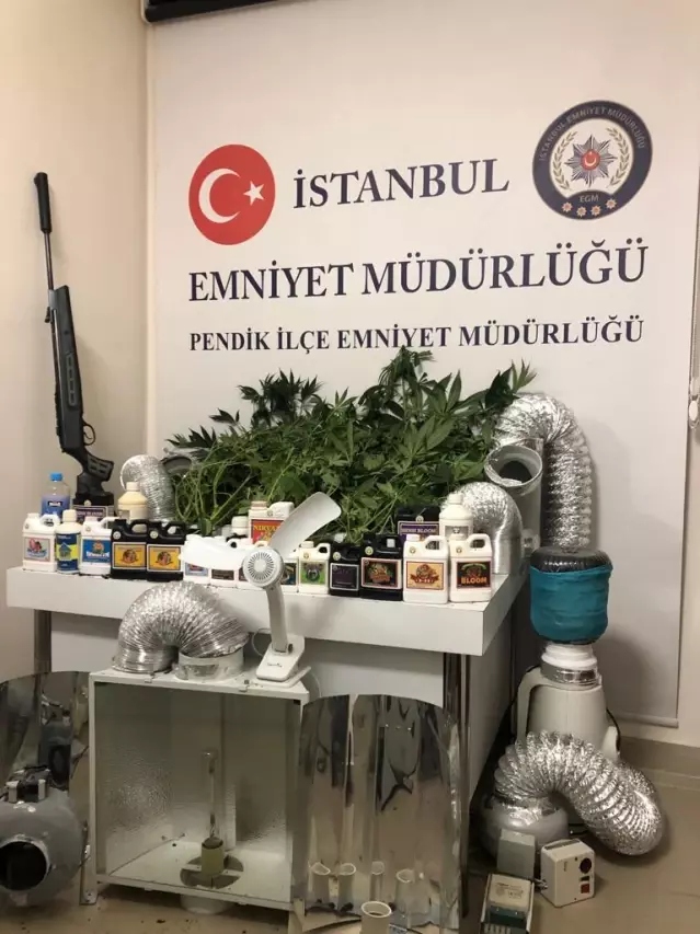 Pendik'te evde oluşturdukları serada Hint keneviri yetiştirerek satan 3 kişi yakalandı