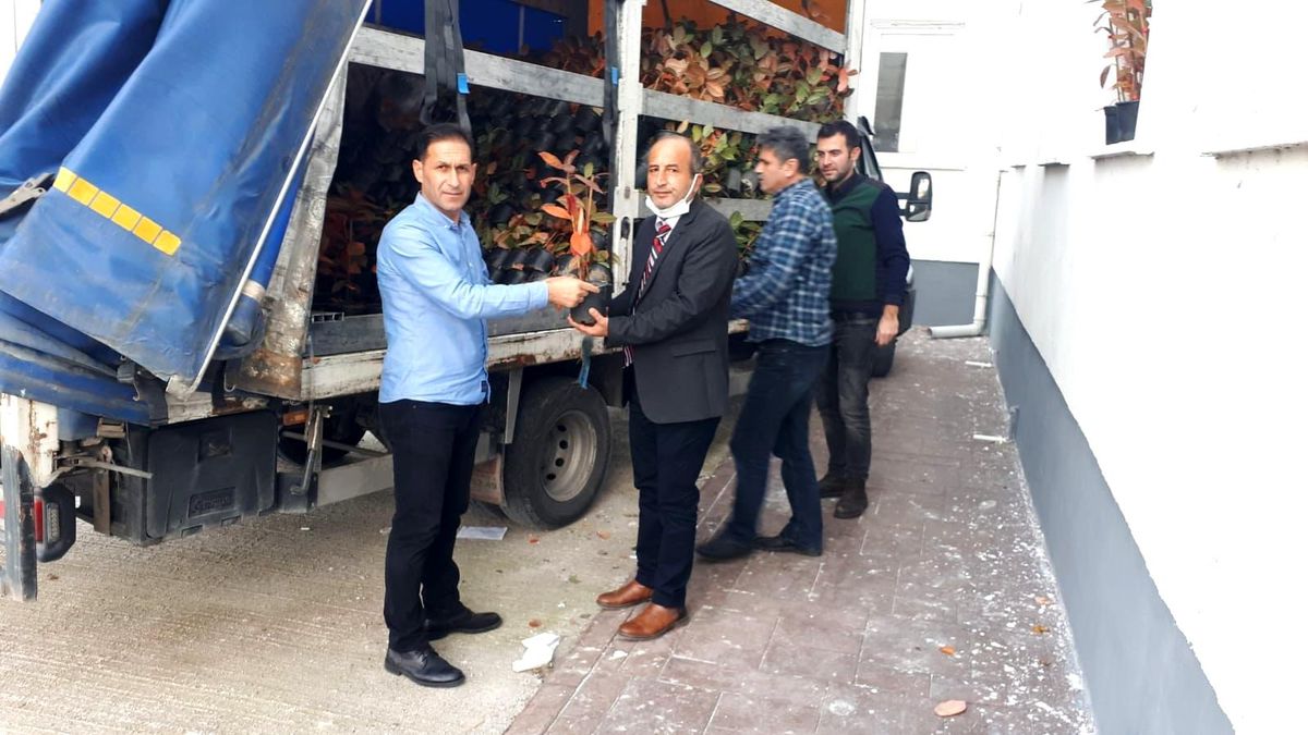 Samsun\'un yeni meyvesi: Aronya