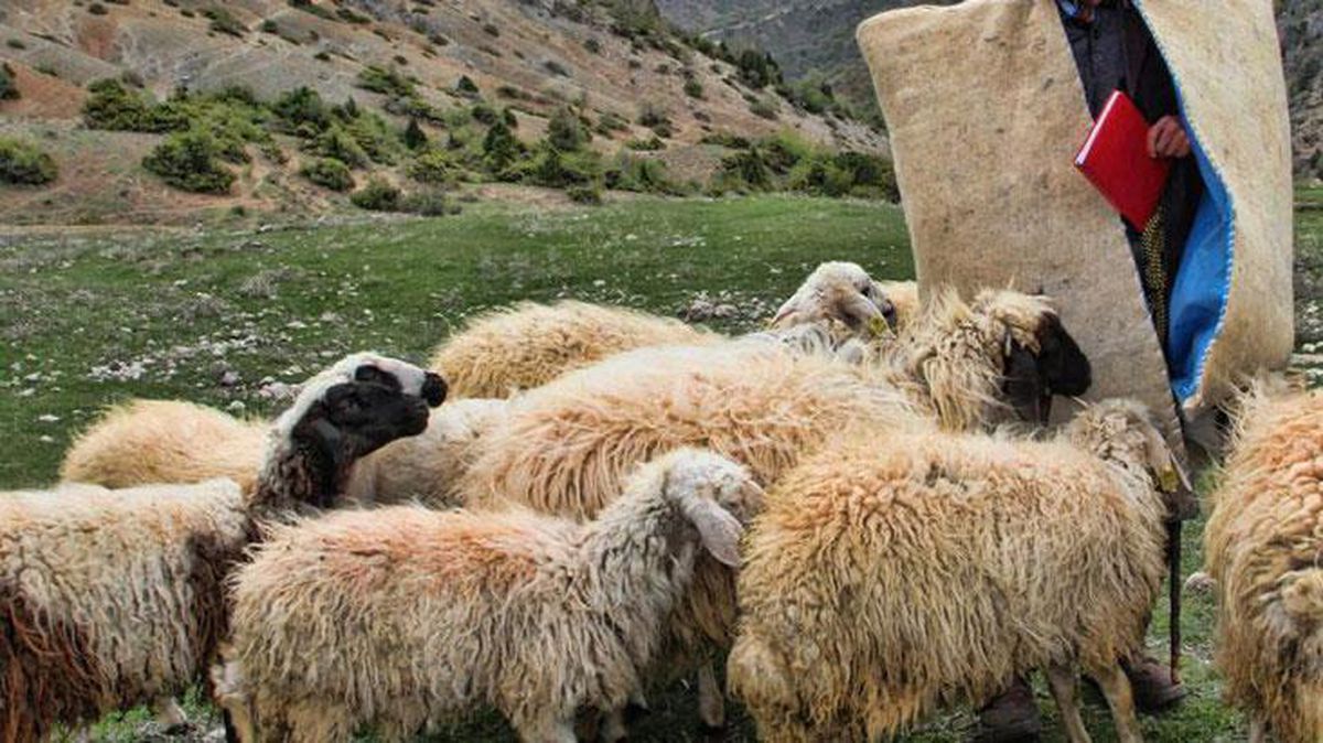 Her bir parçası ayrı yerde olan cesedi gören çobanlar tir tir titredi
