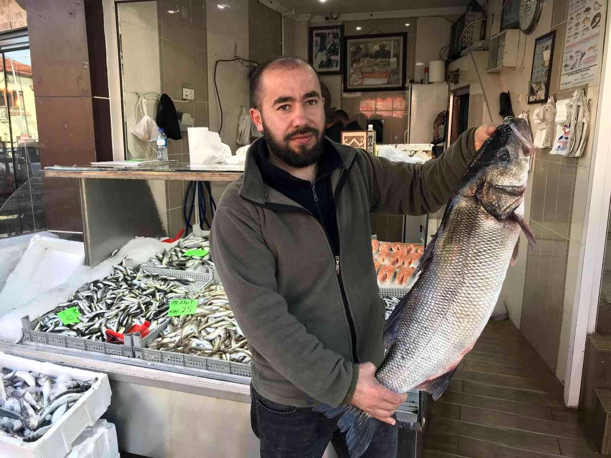 Akçakoca\'da 7 kilo levrek avlandı