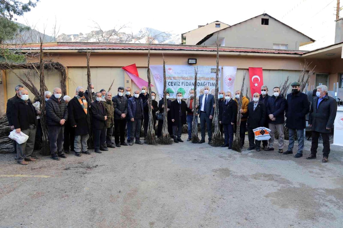 Gümüşhane\'de 5 bin 322 adet ceviz fidanı daha toprakla buluştu