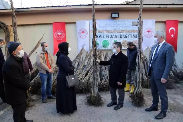 Gümüşhane'de 5 bin 322 adet ceviz fidanı daha toprakla buluştu