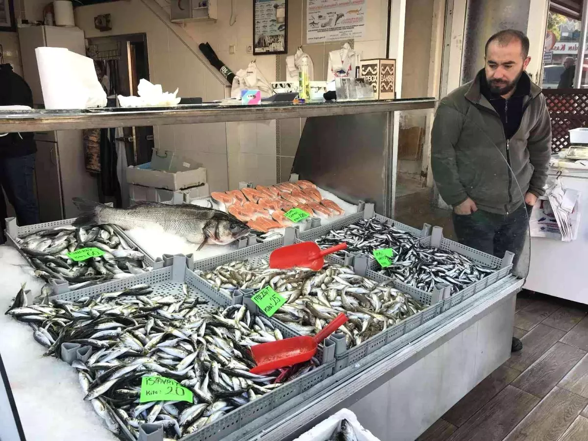 Hamsi tezgahlarda 40 TL\'yi gördü