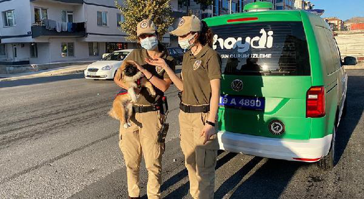 Son dakika haberi... HAYDİ ekibi, kediye eziyet ihbarına giderken kaza yaptı: 2\'si polis 3 yaralı