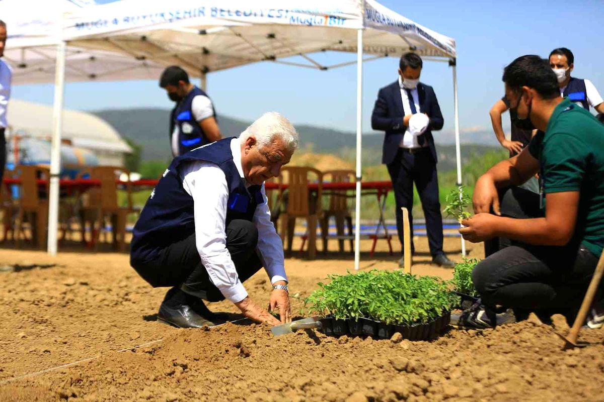 Muğla\'da 39 il ve 2 ülkenin toprak, bitki ve su analizi yapıldı