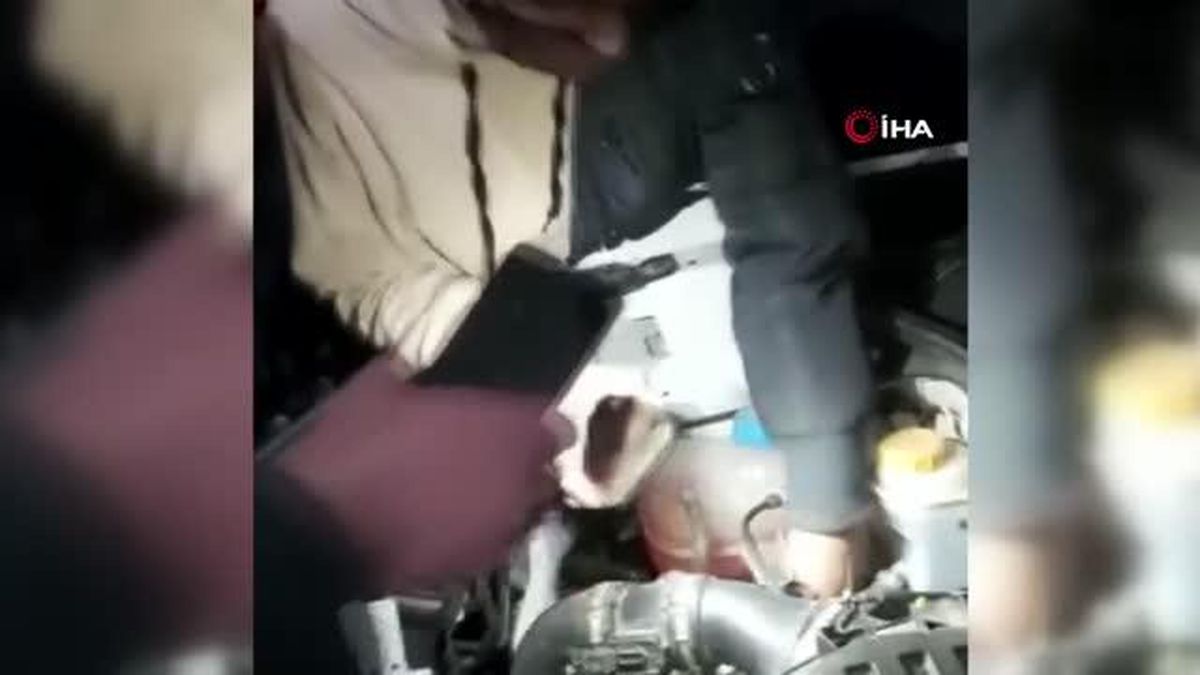 Otomobilin motor kısmına sıkışan kedi uzun uğraşlar sonucu kurtarıldı