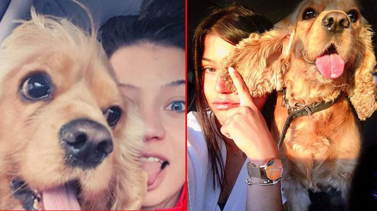 Köpeğini tasmasız dolaştırılan pitbull parçalamıştı! Davayla köpeğinin hakkını arayacak!