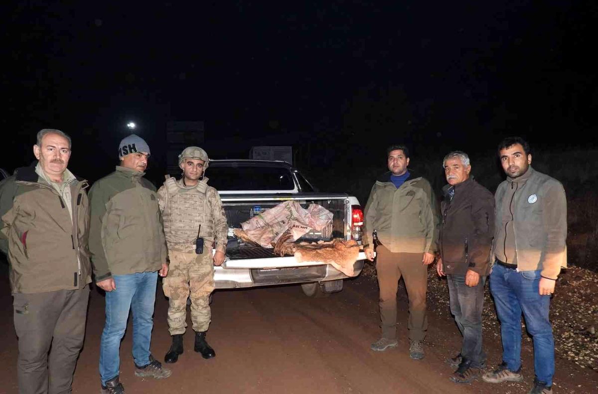 Yabani dağ keçisini vuran şahsa 63 bin TL ceza
