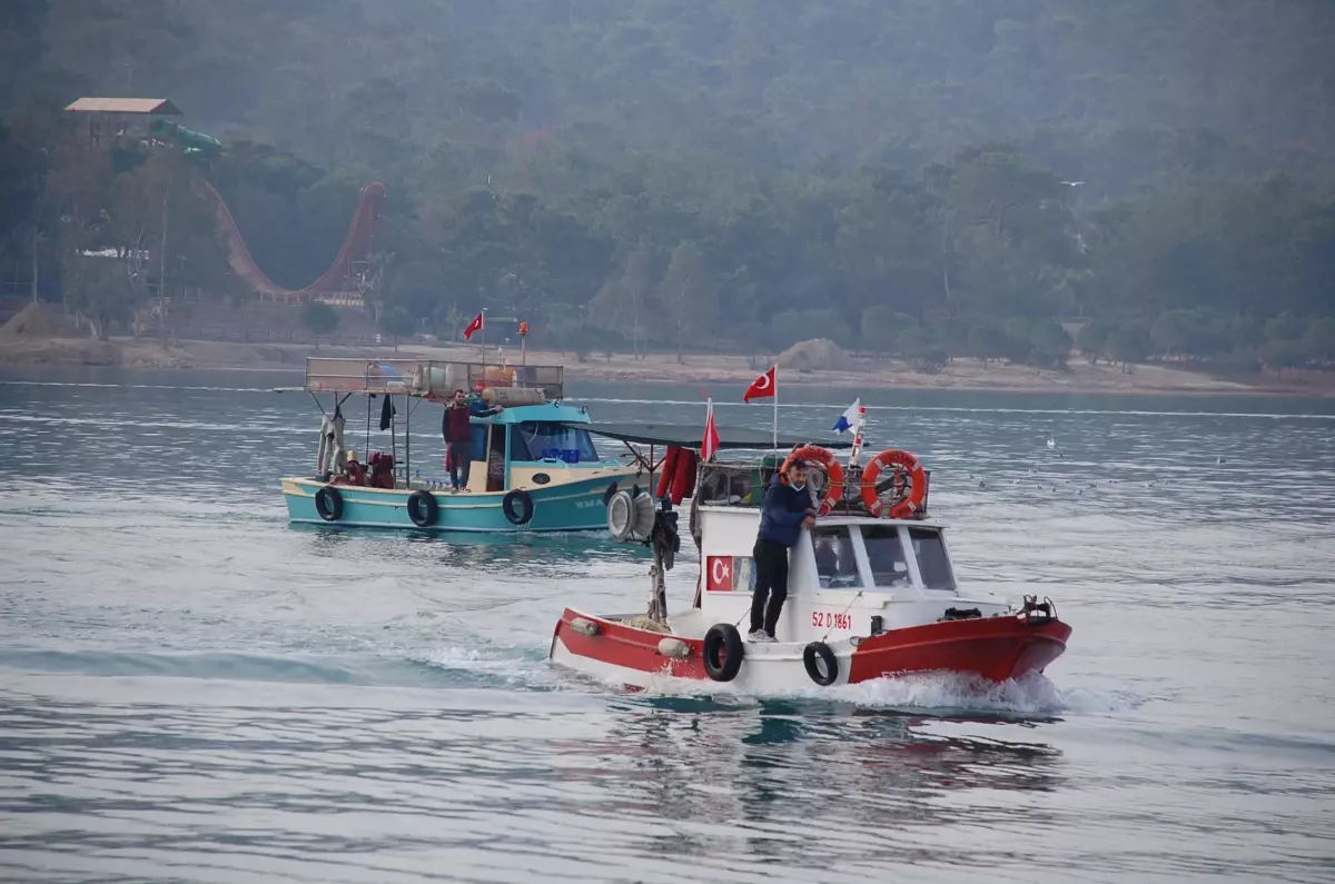 Didim\'de deniz patlıcanı avcıları dip temizliği yaptı