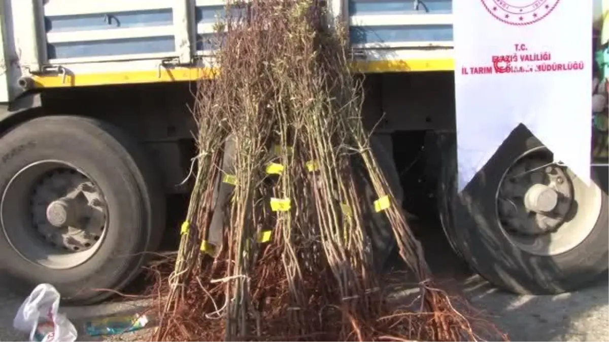 Elazığ\'da çiftçiye 68 bin 500 adet badem fidanı dağıtıldı