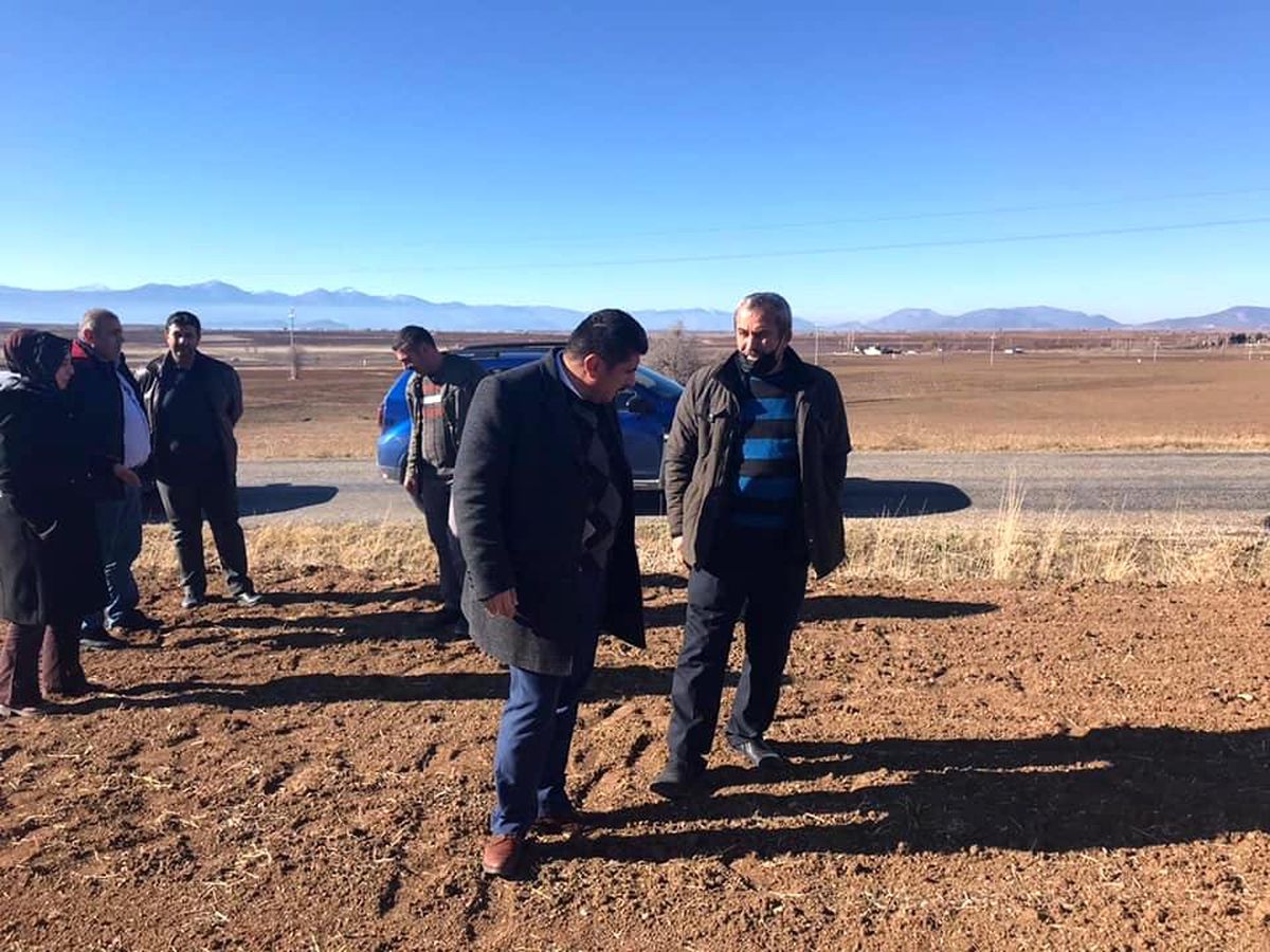 Konya\'da geç ekime bağlı hububat ekili tarım alanlarında çimlenme başladı