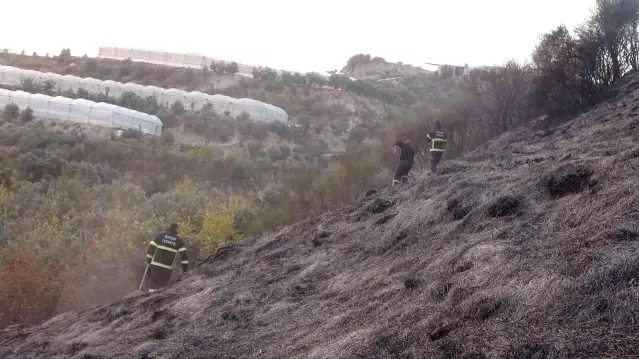 Son dakika haber: Samandağ'da yangın