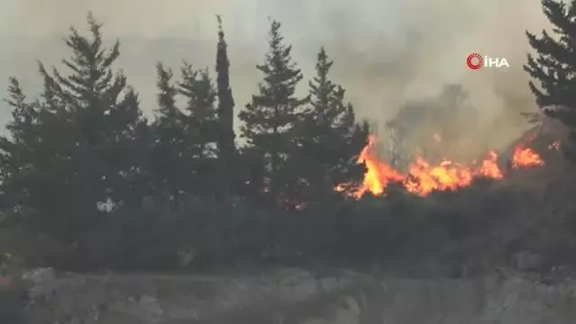Son dakika haber: Samandağ'da yangın