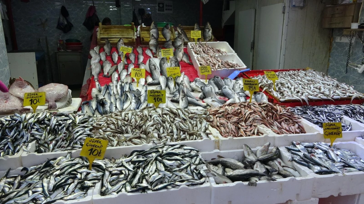 Samsun\'da fırtınada artan balık fiyatları yarı yarıya düştü