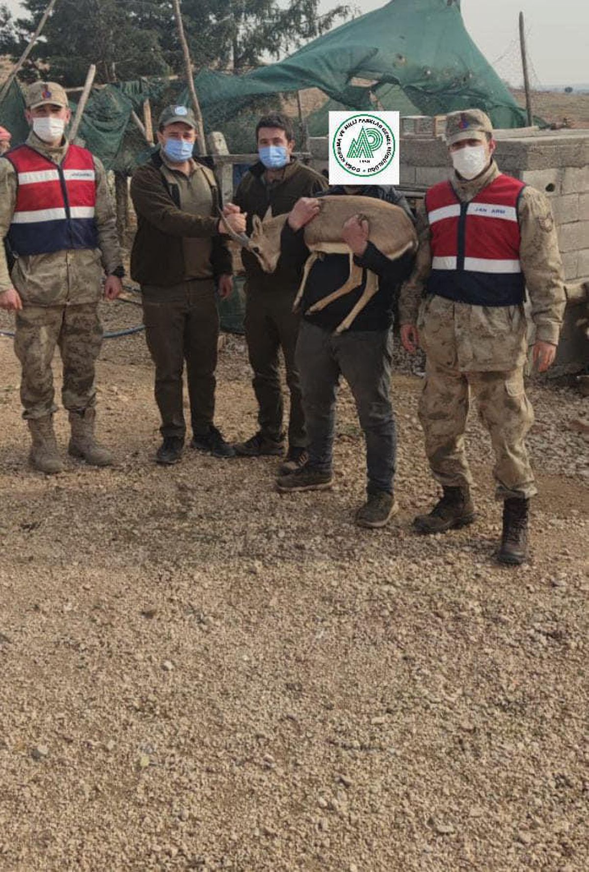Şanlıurfa\'da izinsiz ceylan besleyen kişiye idari para cezası uygulandı