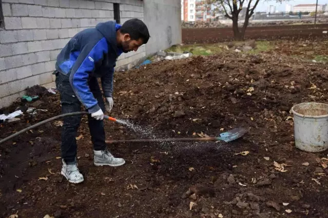 Siverekli genç girişimci, solucanlarla organik gübre üretiyor