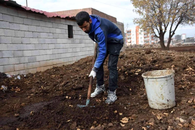 Siverekli genç girişimci, solucanlarla organik gübre üretiyor