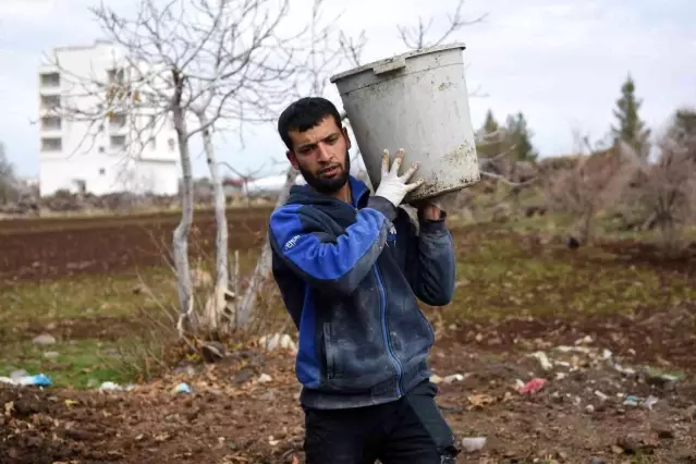 Siverekli genç girişimci, solucanlarla organik gübre üretiyor