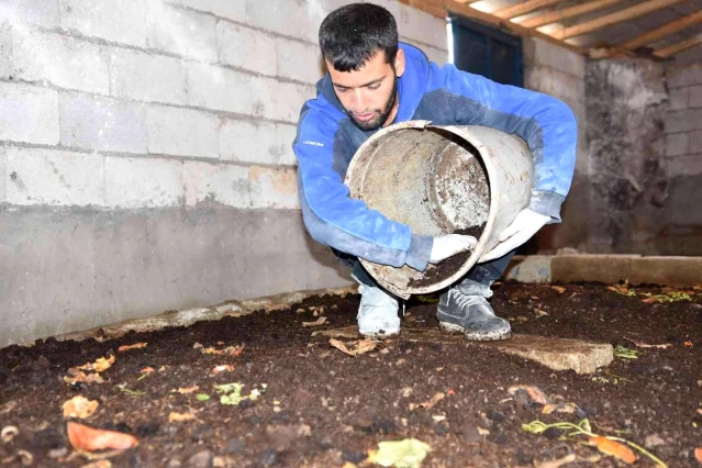 Siverekli genç girişimci, solucanlarla organik gübre üretiyor