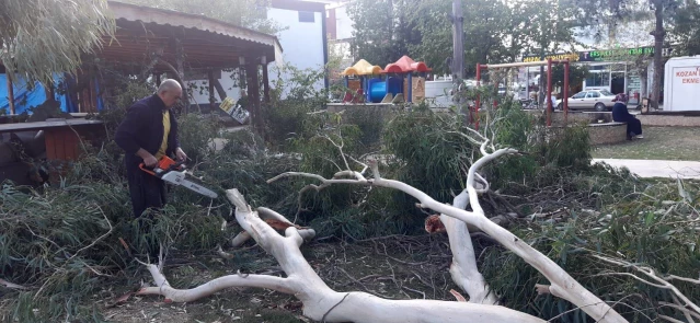 Adana'da kuvvetli rüzgar hayatı olumsuz etkiledi