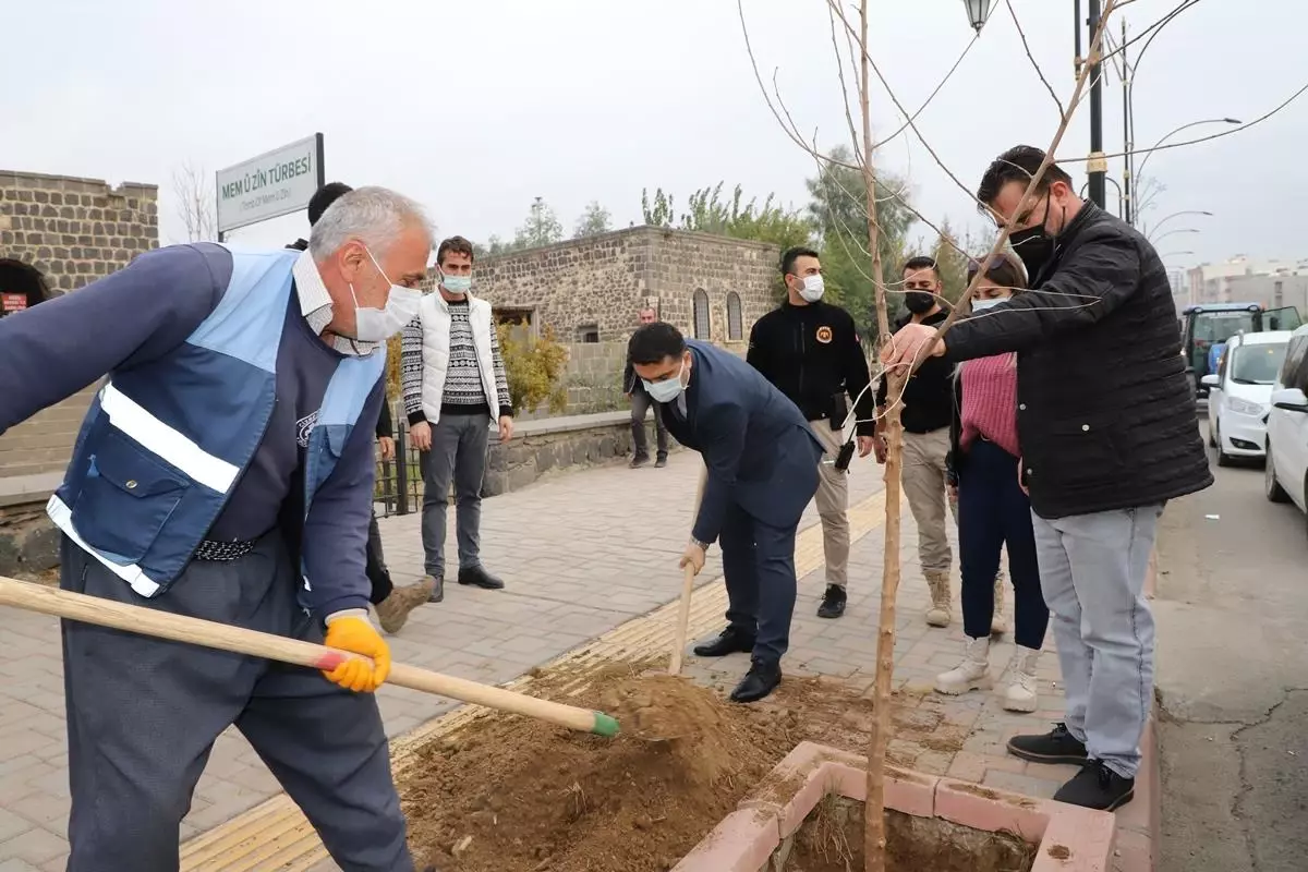 Cizre Kaymakamı Tunç, ağaçlandırma çalışmalarına katıldı