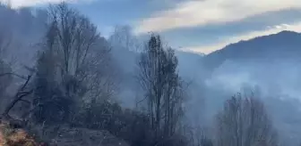 Son dakika haberi: Fındıklı'da orman yangını; alevlerin sıçradığı 2 ev yandı