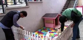Hayvan sevgisi engel tanımıyor