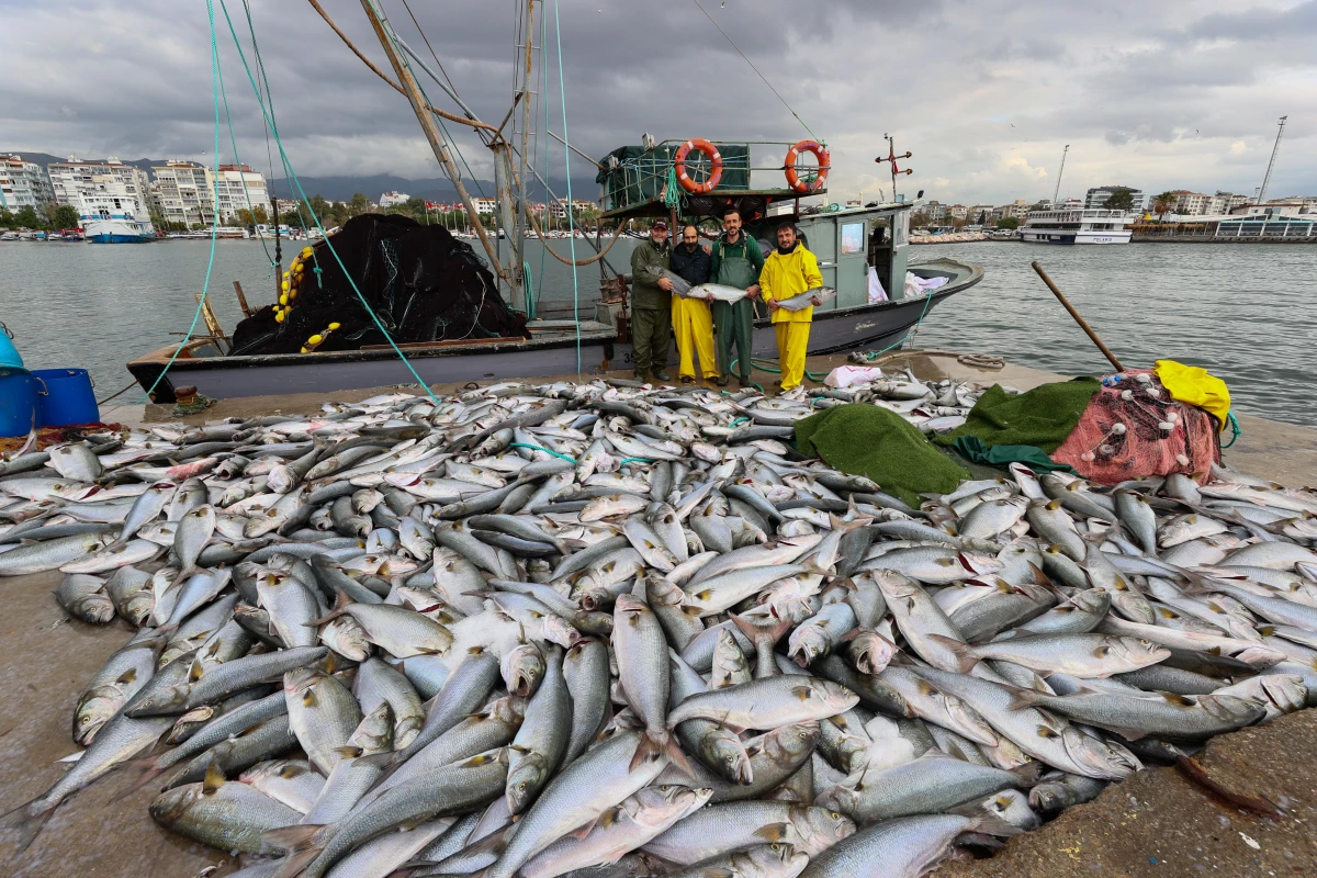 İzmir Körfezi\'nde bir teknenin ağlarına yaklaşık 10 ton balık takıldı