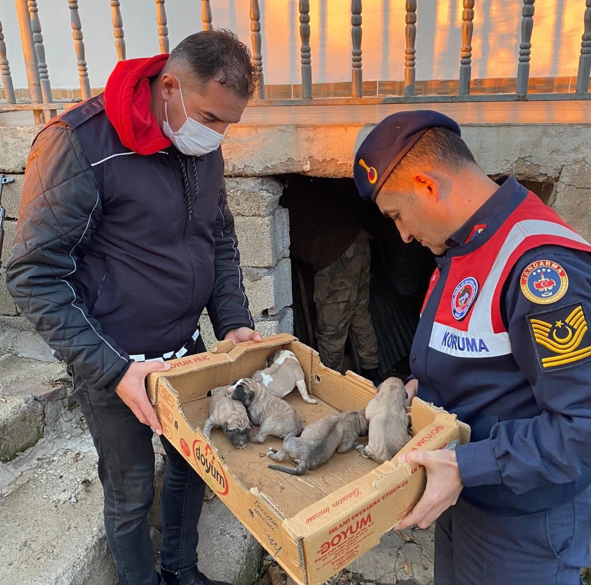 Jandarma, 8 yavru ve anne köpeği donmak üzereyken kurtardı