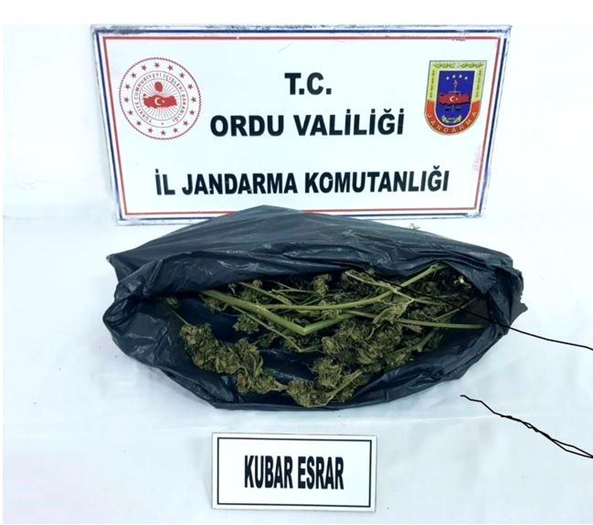 Jandarmadan uyuşturucu operasyonu: 4 gözaltı