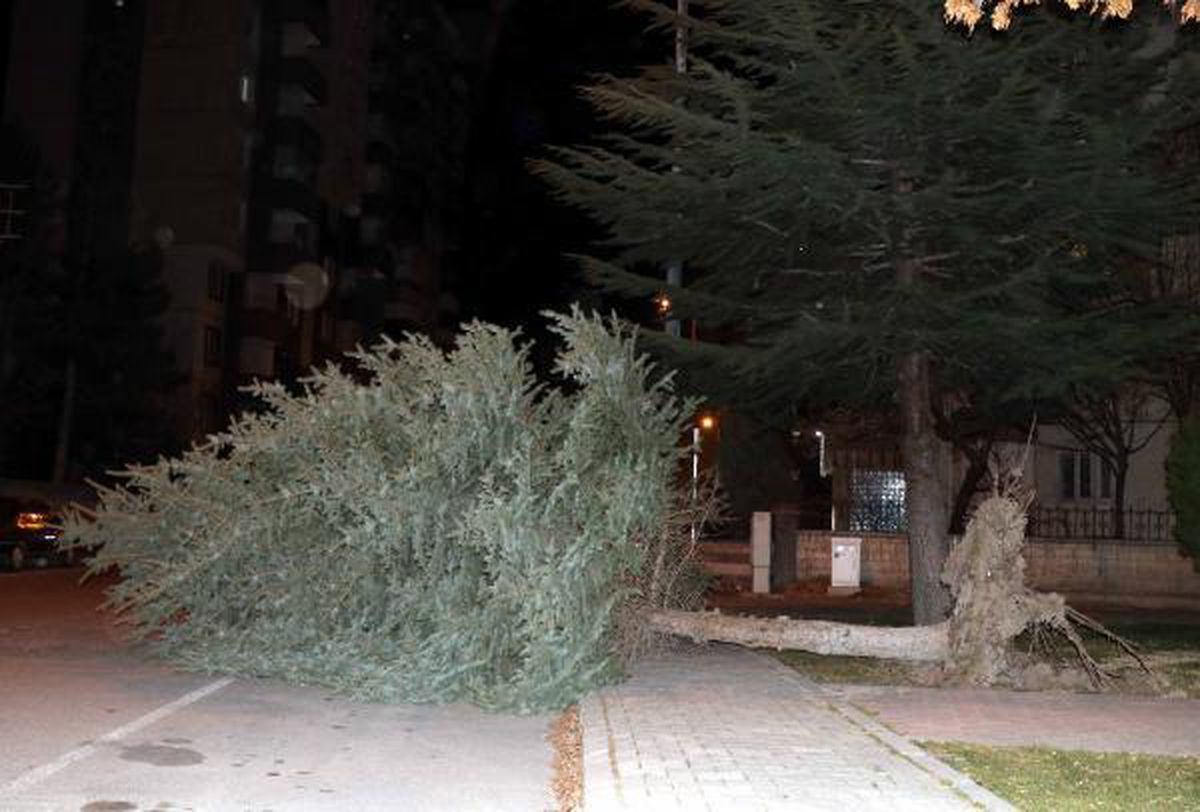 Kayseri\'de şiddetli rüzgar etkili oldu