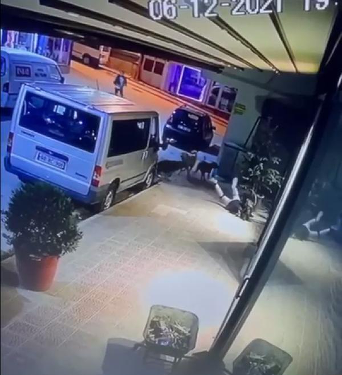 SOKAK KÖPEKLERİNİN SUDE\'YE SALDIRDIĞI ANLAR KAMERADA