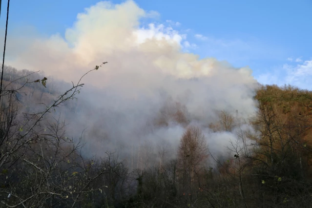 Trabzon'da çıkan örtü yangınını söndürme çalışmaları devam ediyor