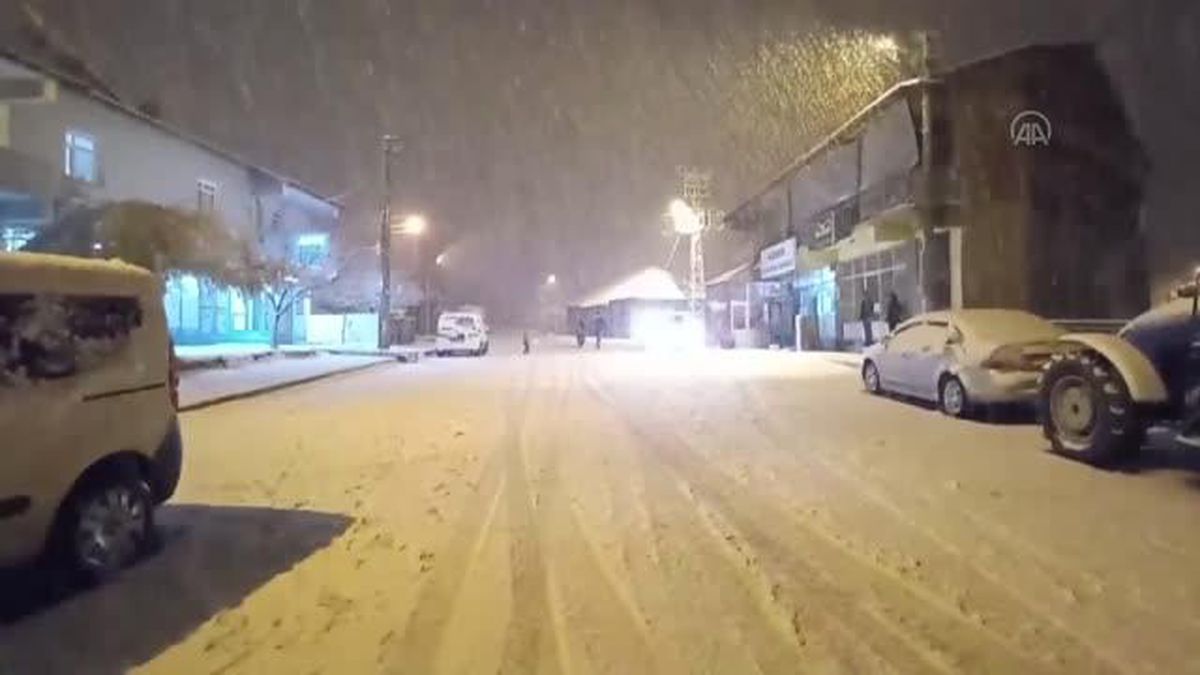 Yedisu'da kar yağışı etkili oldu