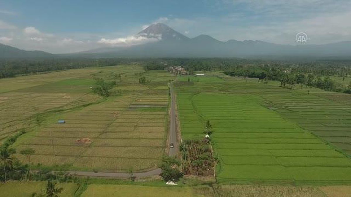 (DRONE) Semeru Yanardağı'nda volkanik hareketlilik devam ediyor