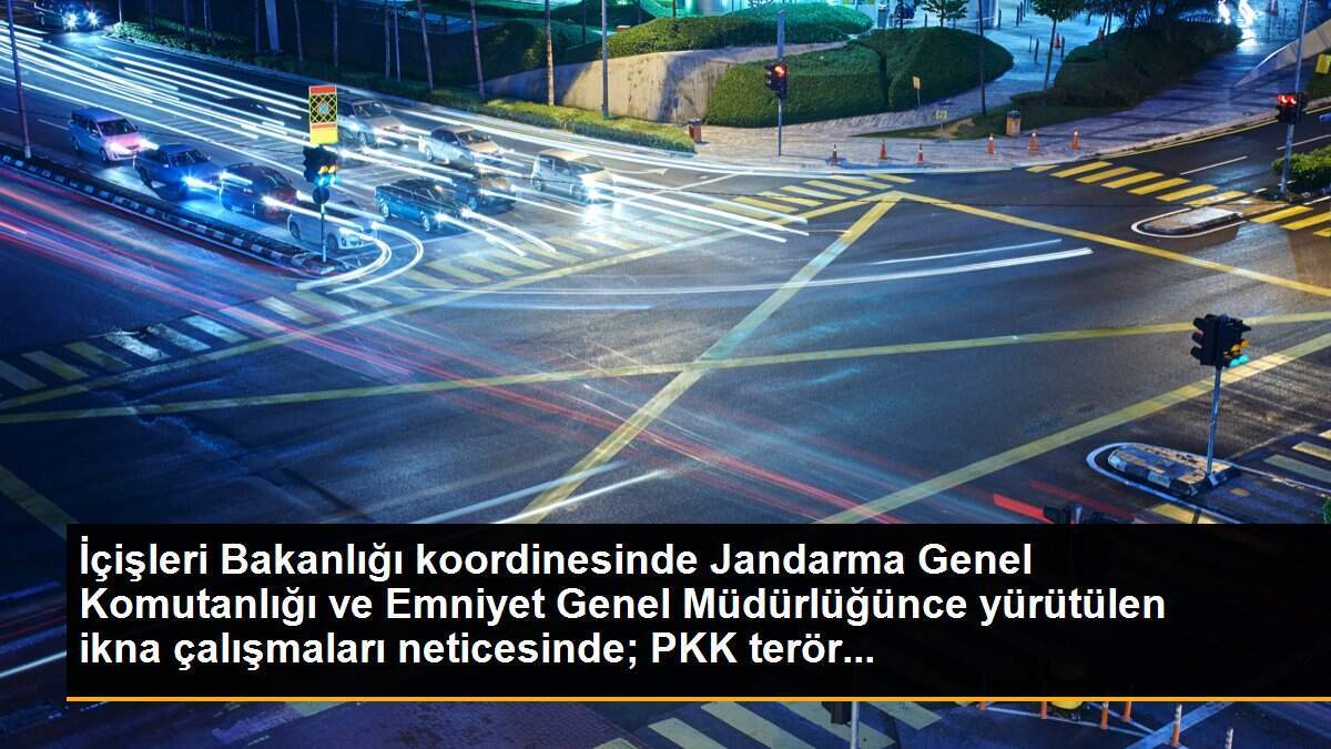1 örgüt mensubu daha ikna yoluyla teslim oldu