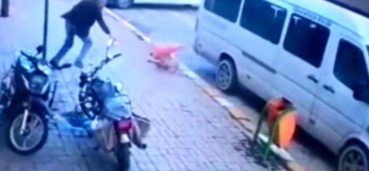 Köpeğe kötü muameleye adli işlem