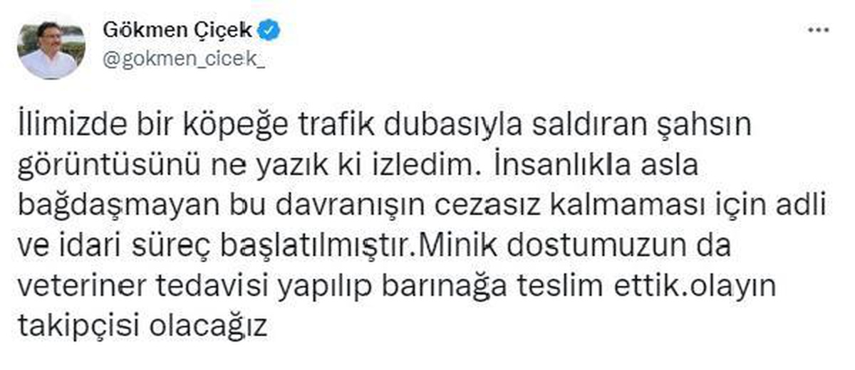 Son dakika... Afyonkarahisar\'da sokak köpeğine kötü muamelenin güvenlik kamerasına yansıması