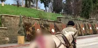 Yaralı haldeki at yük arabasını çekmekte zorlandı, vatandaşlar tepki gösterdi