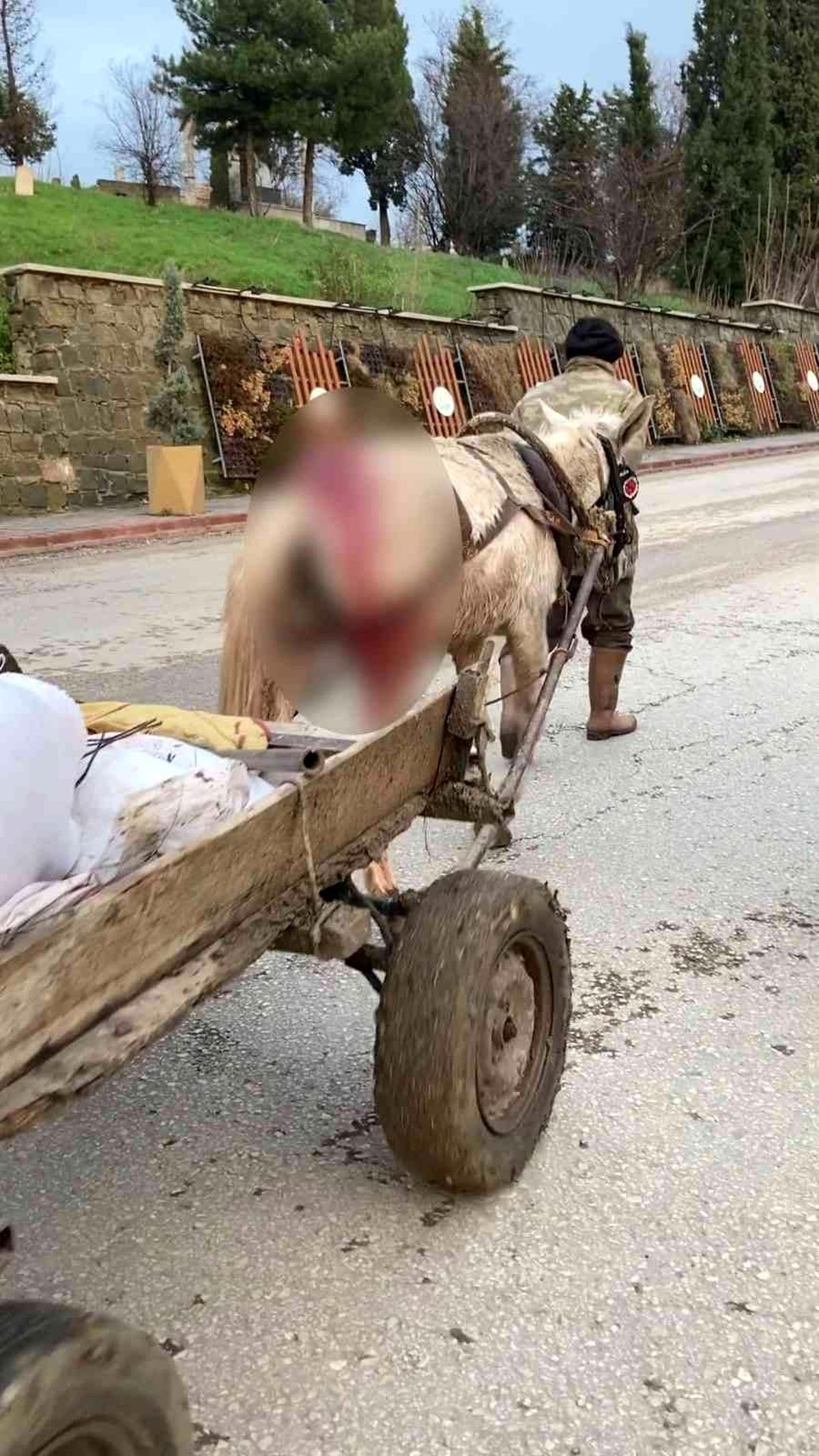 Yaralı haldeki at yük arabasını çekmekte zorlandı, vatandaşlar tepki gösterdi