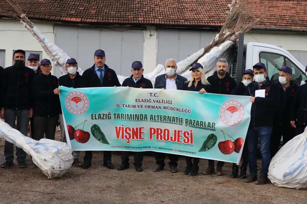 Elazığ'da 3 bin vişne fidanı dağıtıldı