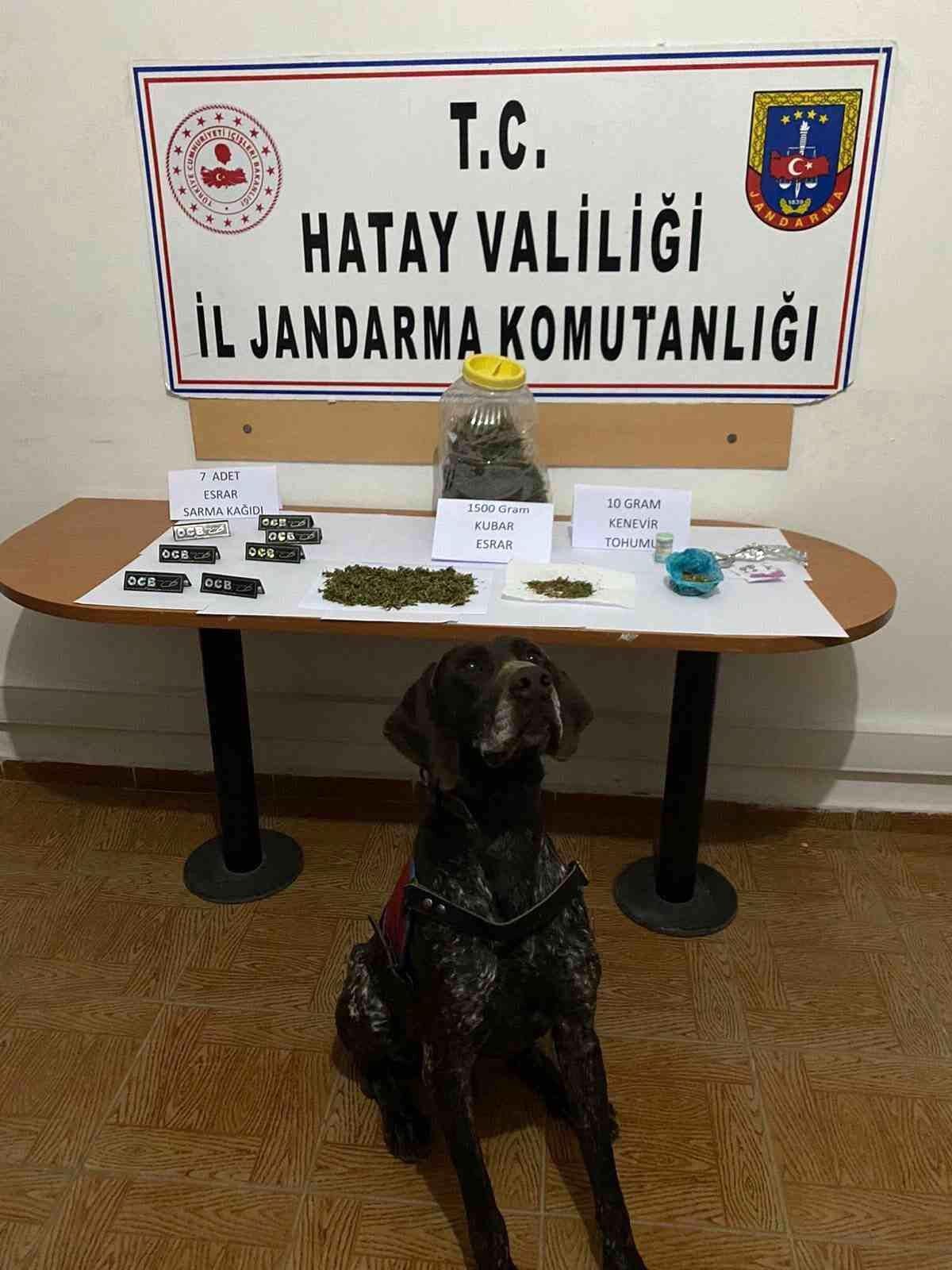 Son dakika... Hassa\'da uyuşturucu operasyonu