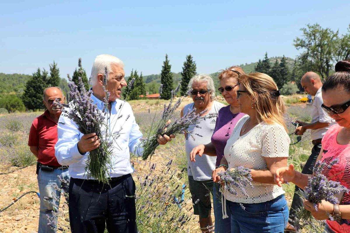 Kadın üreticilere 97 Bin 500 adet tıbbi aromatik fidanı