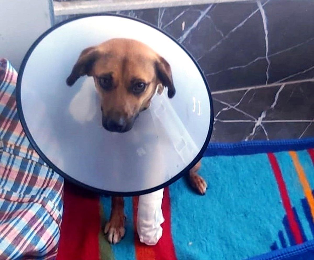 Öğrencilerden merhametsiz şoföre insanlık dersi