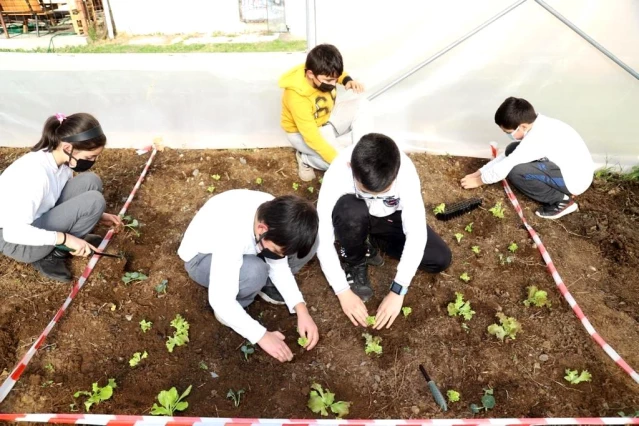 Ordu'da Büyükşehir'den okullara özel proje